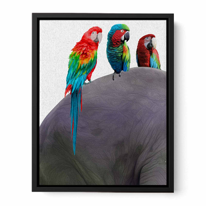 Australian Parrot Painting 