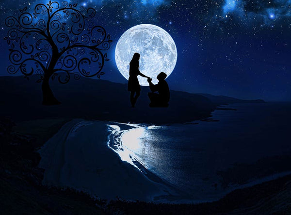 Couple propose  in Moonlight Painting