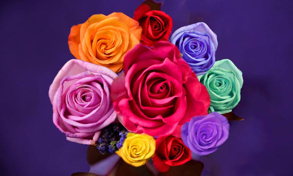 Colorfull Roses Painting
