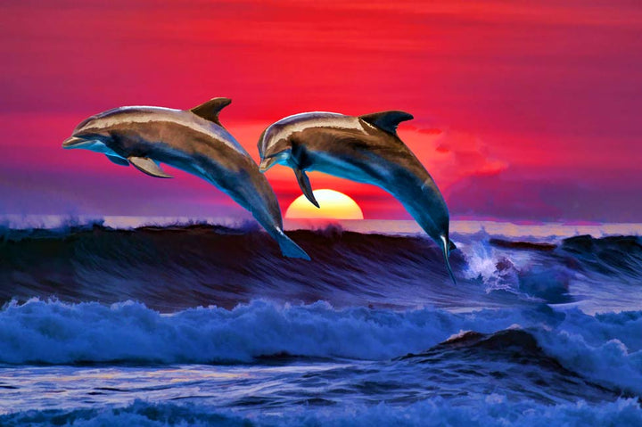 Sunrise Dolphin Painting