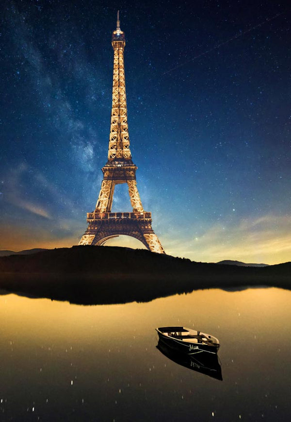 Eiffel Tower And Boat Paris Painting