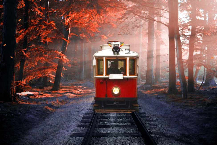Red Tram in Forest  Painting